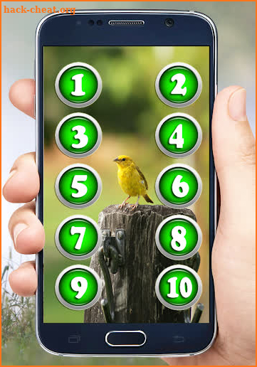 Canary Sounds screenshot