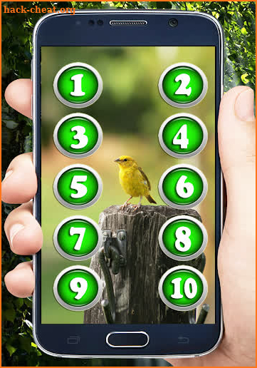 Canary Sounds screenshot