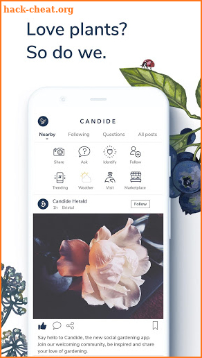 Candide – inspiration for plant lovers everywhere screenshot