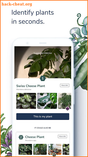 Candide – inspiration for plant lovers everywhere screenshot