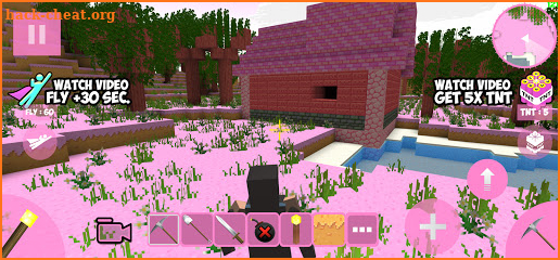 Candy Craft screenshot