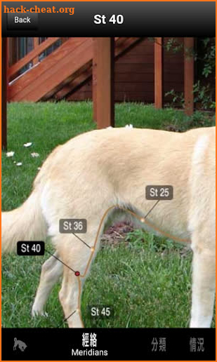 Canine AcuPoints screenshot