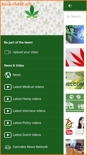 Cannabis News Network screenshot