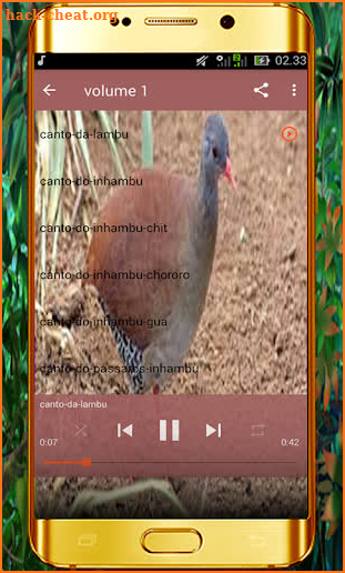 Canto de Lambu Novo 2019 screenshot