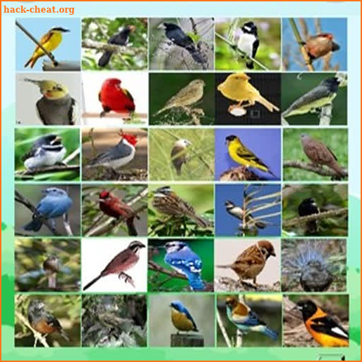 Canto de pássaros completo screenshot
