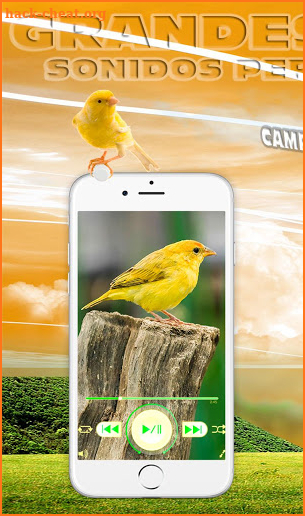 Cantos de Canarios timbrados educa, enseña gratis screenshot