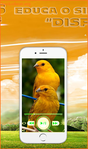 Cantos de Canarios timbrados educa, enseña gratis screenshot