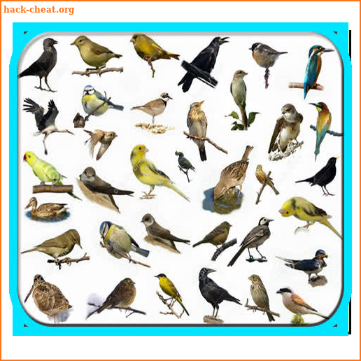 Cantos dos Pássaros Completos screenshot