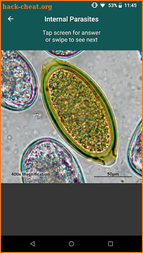 CAPC Internal Parasites ID screenshot