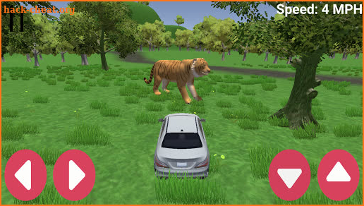 Car Expedition screenshot