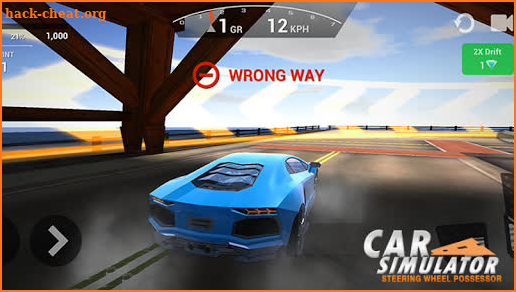 Car Simulator: Steering Wheel Possessor screenshot