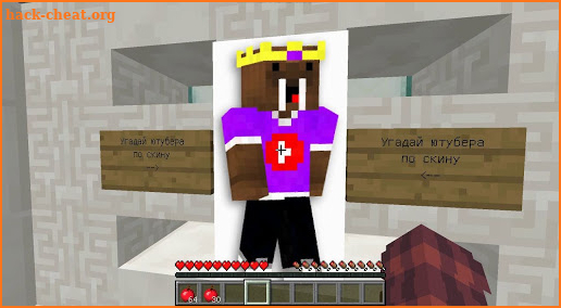 Cards the youtubers in Minecraft screenshot