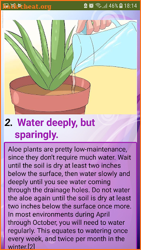 Care for Your Aloe Vera Plant screenshot