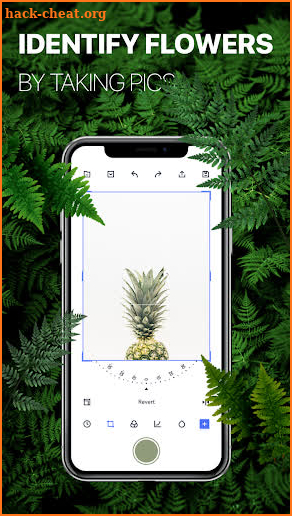 Carlota Camera - What plant are you? screenshot