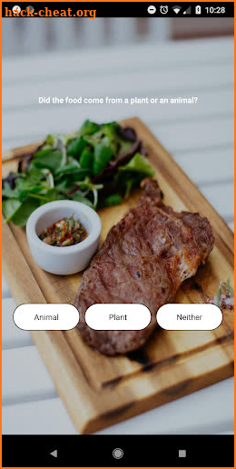 Carnivore Diet Guide screenshot