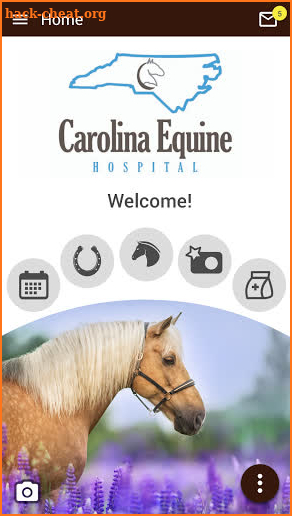 Carolina Equine Hospital screenshot