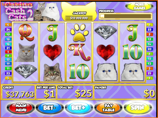 Casino Cash Cats 2 Slots PAID screenshot