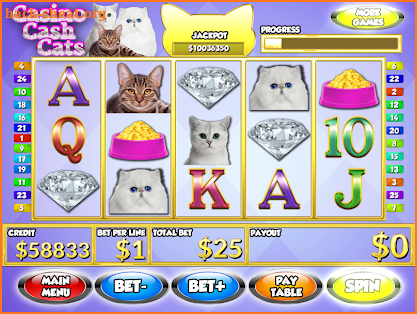 Casino Cash Cats Slots PAID screenshot