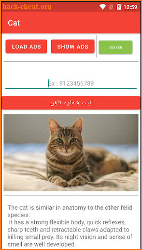 Cat screenshot