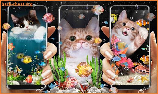 Cat & Aquarium Fish Live Wallpaper screenshot