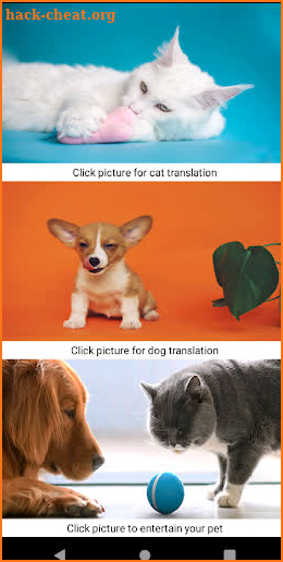 Cat and Dog translator screenshot