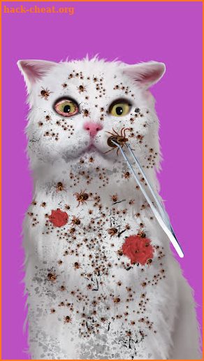 Cat ASMR: Salon Makeover screenshot