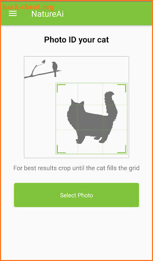 Cat Breed Identification - Cat Scanner screenshot