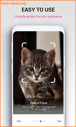 Cat Breed Identifier : Kitten Cat, Pet Cat Scanner screenshot