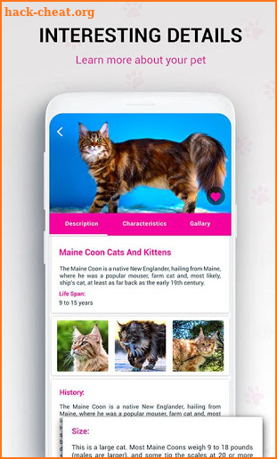 Cat Breed Identifier : Kitten Cat, Pet Cat Scanner screenshot