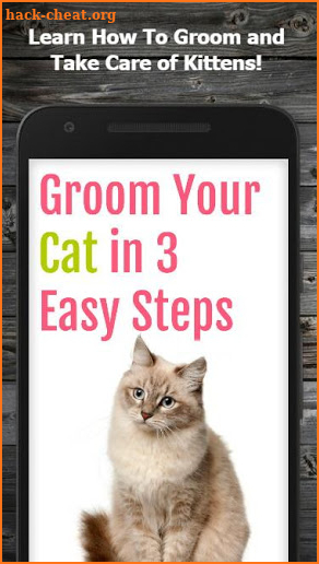 Cat Care & Grooming screenshot