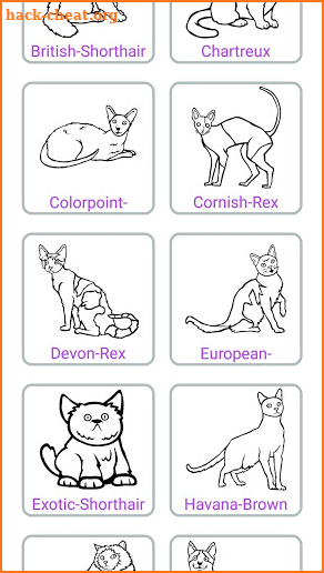 Cat Coloring Book screenshot