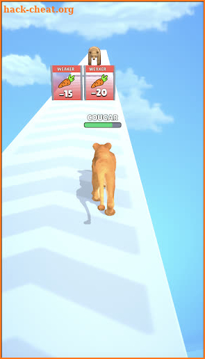 Cat Evolution screenshot