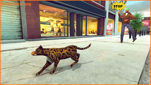 Cat Family Simulator Game screenshot