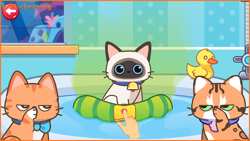 Cat Games for kids screenshot