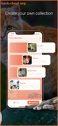 Cat Identifier - Cat Scanner screenshot