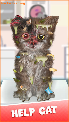 Cat Makeover screenshot