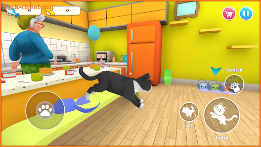 Cat Mayhem: Gran’s Angry screenshot