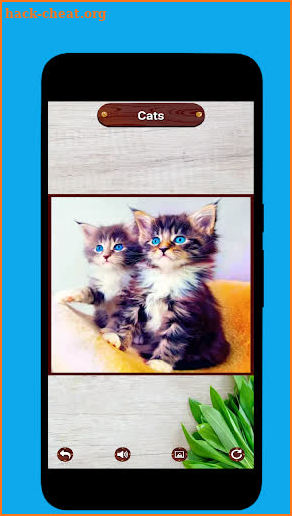 Cat Picture Making Puzzle screenshot