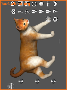 Cat Pose Tool 3D screenshot