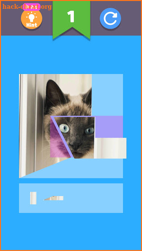 Cat Puzzle for Kids screenshot