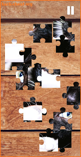 Cat Puzzle - Katze.org screenshot