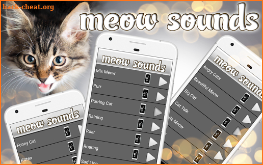 Cat Ringtones – Meow Sounds screenshot