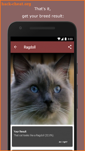 Cat Scanner screenshot