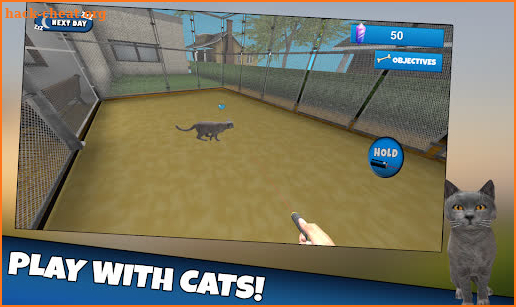 Cat Shelter Simulator 3D screenshot