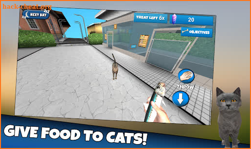 Cat Shelter Simulator 3D screenshot