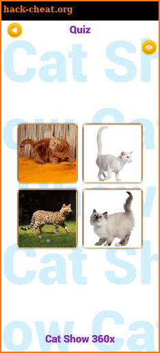 Cat Show 360x screenshot
