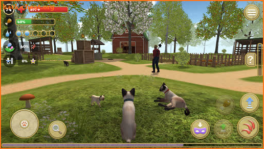 Cat Simulator 2020 screenshot