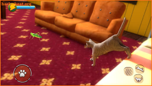 Cat Simulator 2021: Virtual Cat Life 2021 screenshot