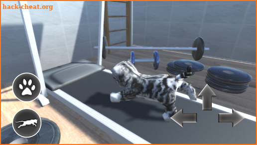 Cat Simulator 3D screenshot