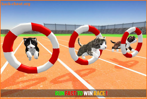 Cat Simulator Game 2020 :Kitty Running screenshot